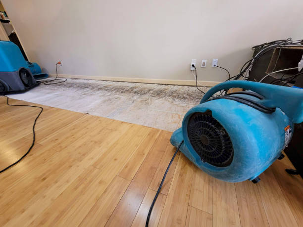 Professional Burst Pipe Water Damage technician working in Highland, IL